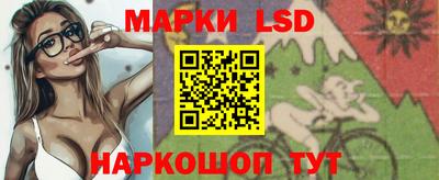 a pvp Гатчина