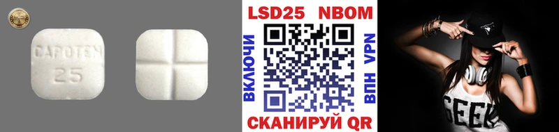 где продают наркотики mega как зайти LSD-25 экстази ecstasy Новодвинск