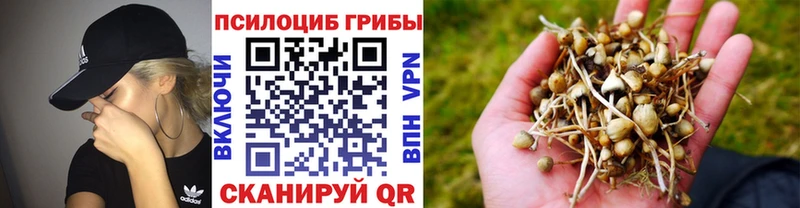 Псилоцибиновые грибы прущие грибы  Новодвинск 