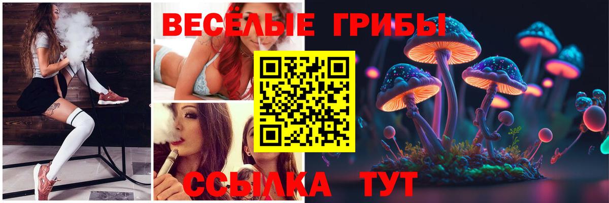 Новодвинск  Галлюциногенные грибы Psilocybe  Вход с VPN 