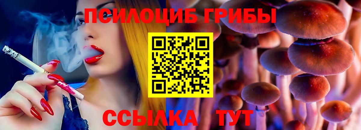 Псилоцибиновые грибы GOLDEN TEACHER Новодвинск