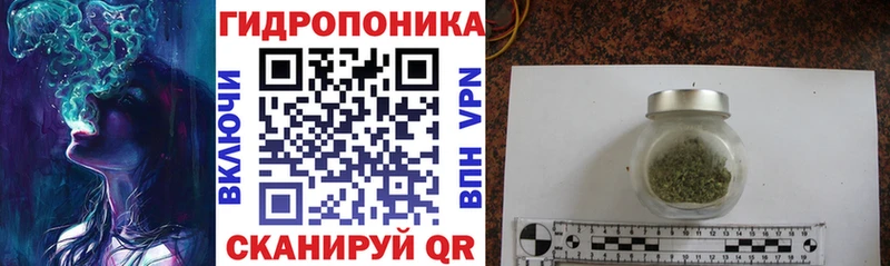 Конопля планчик  где найти наркотики  Новодвинск 